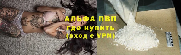 ешки Богданович