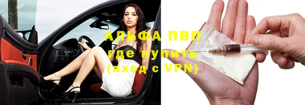 ешки Богданович