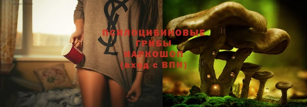 ешки Богданович
