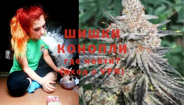 Альфа ПВП Богородск