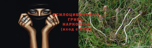 гашиш Богородицк