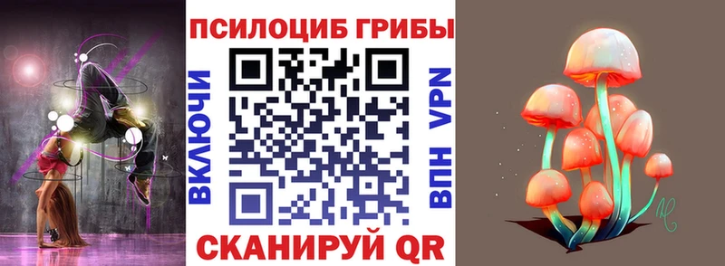 Псилоцибиновые грибы мицелий  Пионерский 